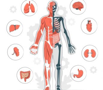 Biology : Free Practice
